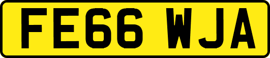 FE66WJA