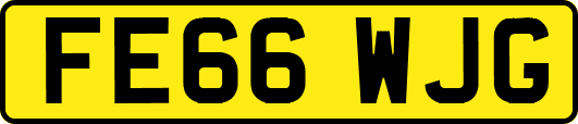 FE66WJG