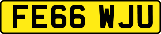 FE66WJU
