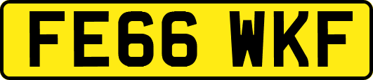 FE66WKF
