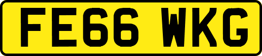 FE66WKG