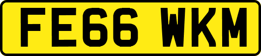 FE66WKM