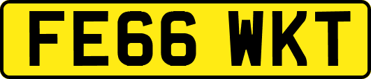 FE66WKT