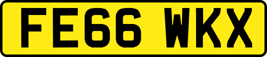 FE66WKX