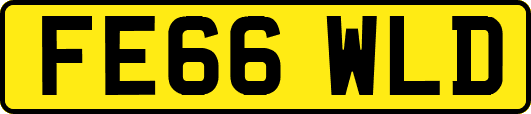 FE66WLD