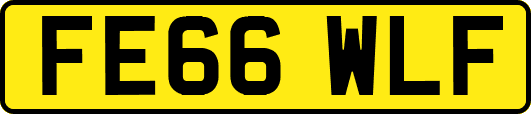 FE66WLF