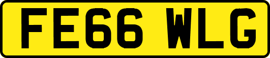 FE66WLG