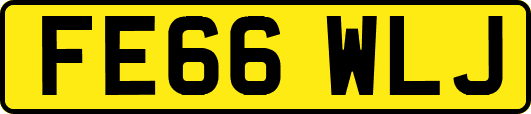FE66WLJ