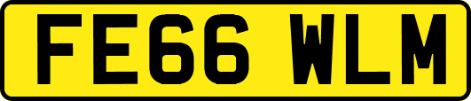 FE66WLM