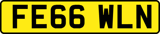 FE66WLN