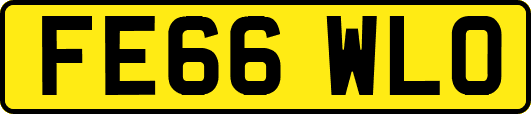 FE66WLO