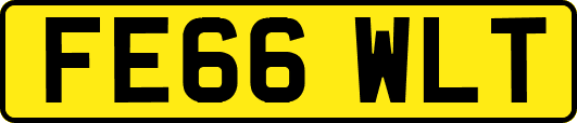 FE66WLT