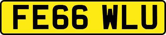 FE66WLU