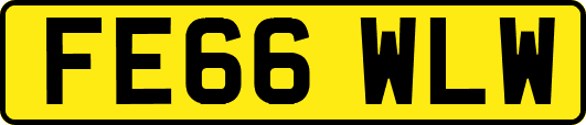 FE66WLW