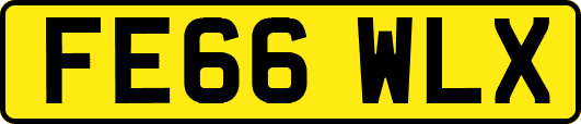 FE66WLX