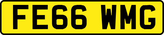 FE66WMG
