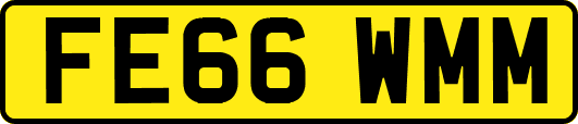 FE66WMM