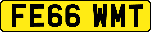 FE66WMT