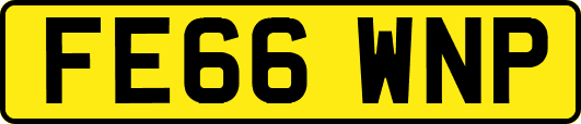 FE66WNP