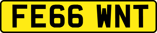 FE66WNT