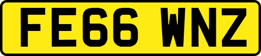 FE66WNZ