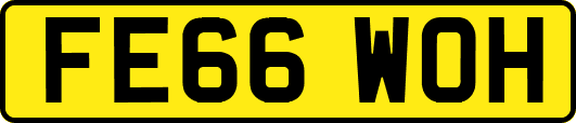 FE66WOH