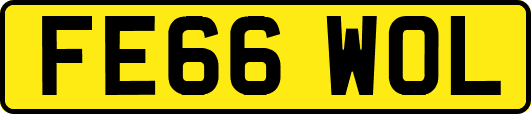 FE66WOL