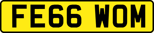 FE66WOM
