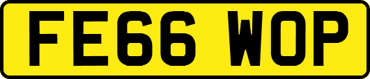 FE66WOP