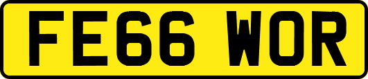 FE66WOR