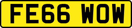 FE66WOW