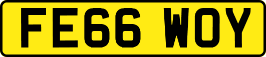 FE66WOY