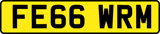 FE66WRM