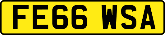 FE66WSA