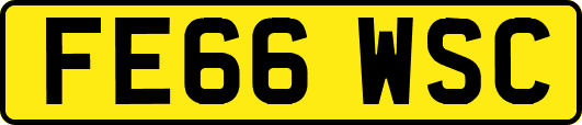 FE66WSC