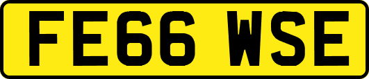 FE66WSE
