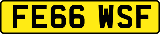 FE66WSF