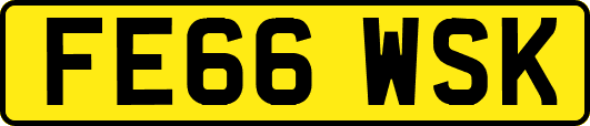 FE66WSK