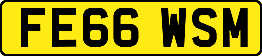 FE66WSM