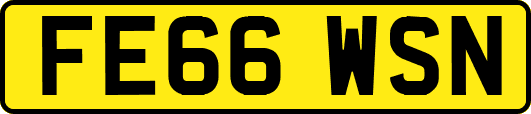 FE66WSN