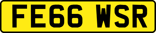 FE66WSR