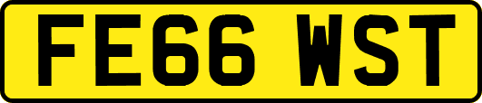 FE66WST