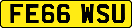 FE66WSU