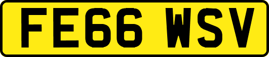 FE66WSV
