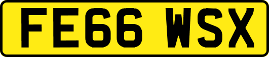 FE66WSX