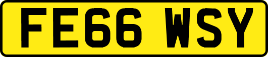 FE66WSY