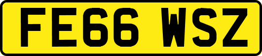 FE66WSZ