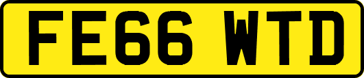 FE66WTD