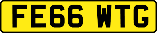 FE66WTG