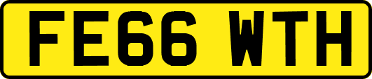 FE66WTH